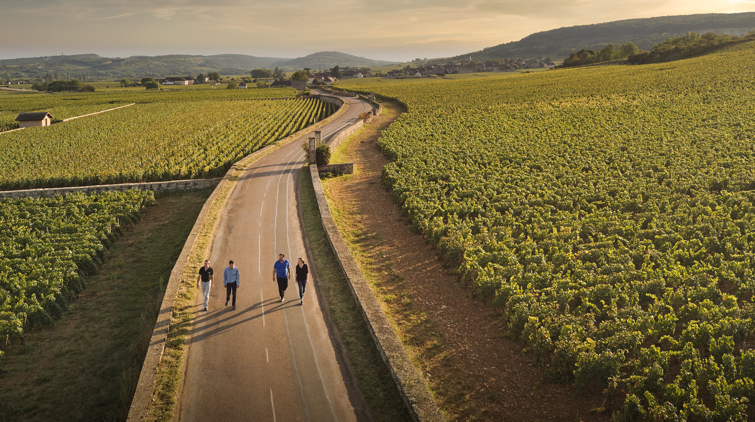 BURGUNDIA OENOLOGIE