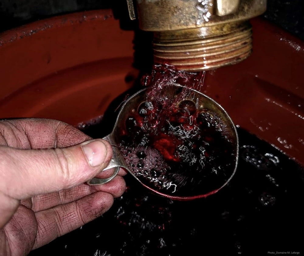 Valorization of lees