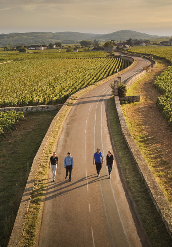 BURGUNDIA OENOLOGIE